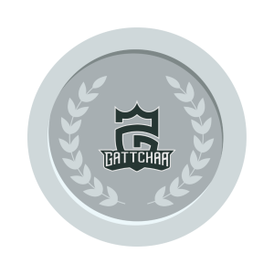 30 Token (Silver)