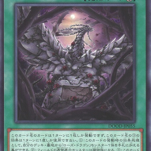 Black Rose Garden | Rare | DOOD-JP055