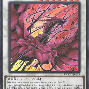 Bramble Rose Dragon | Ultra Rare | DOOD-JP039