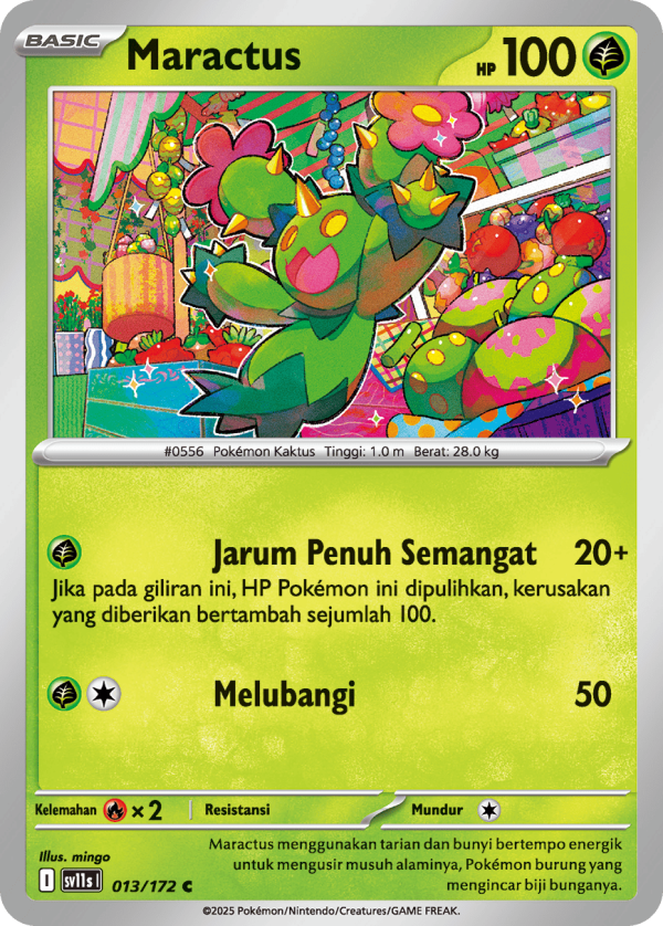 Maractus | C | SV11S