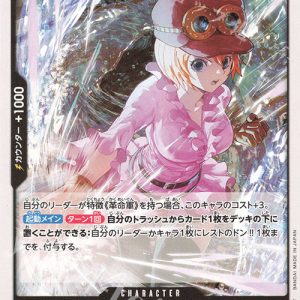 C Koala OP13-081