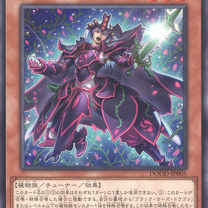 Twilight Rose Black Knight | Normal | DOOD-JP005