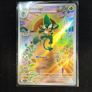 Simisage | AR | SV11S