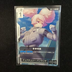 R Iron-Fisted Discipline GD01-119