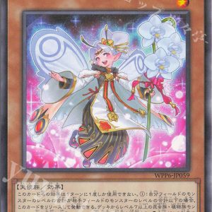 Phalaenop Sisters | Normal | WPP6-JP059