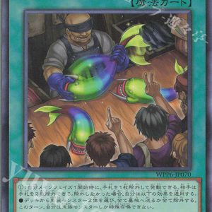 Fish and Bids | Normal | WPP6-JP070
