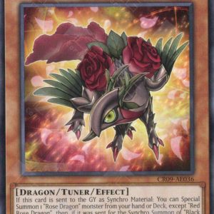 Red Rose Dragon | Rarity | CR09-AE036