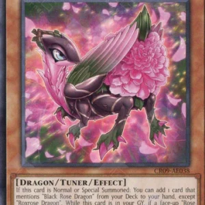 Roxrose Dragon | Common | CR09-AE038