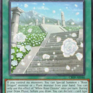 White Rose Cloister | Common | CR09-AE046