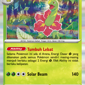 Meganium | R | MA1