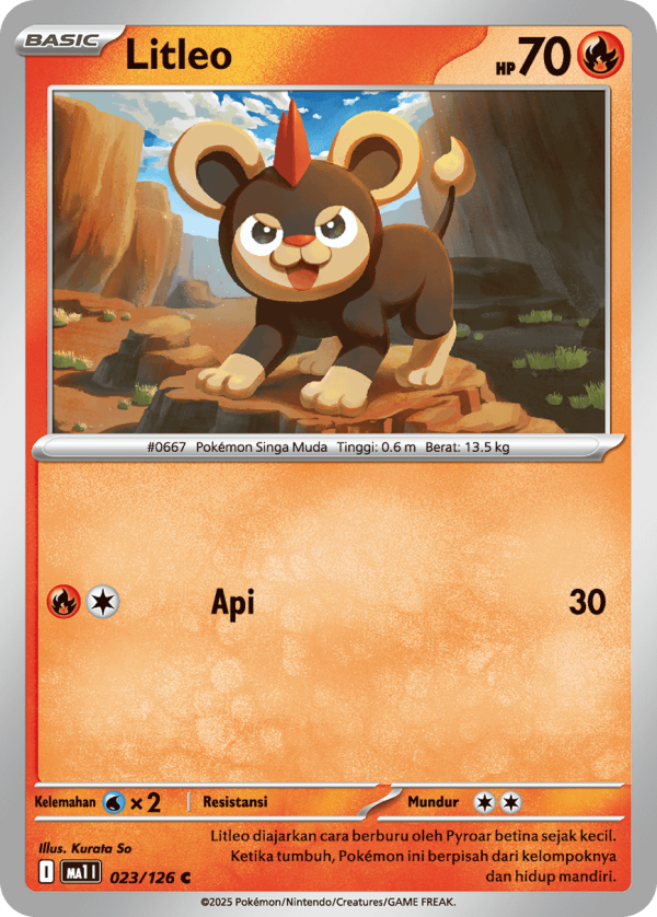 Litleo | C | MA1