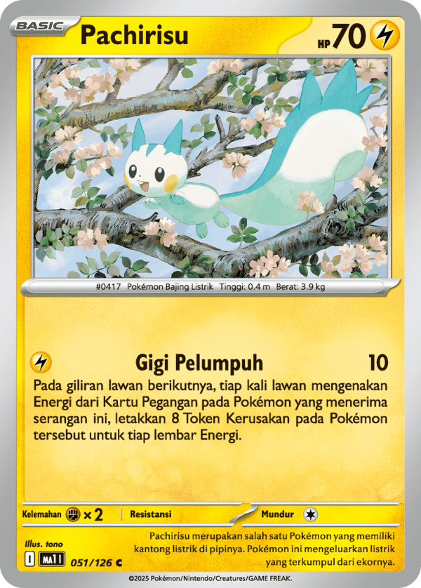 Pachirisu | C | MA1