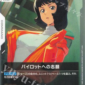 C Aspiring Pilot GD02-120