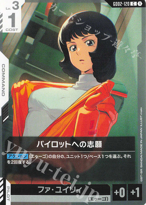 C Aspiring Pilot GD02-120