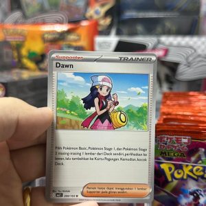 Dawn Basic Supporter Trainer