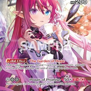 IRyS (SR) hBP01-031 EN