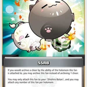 SSRB (C) hBP03-106 EN